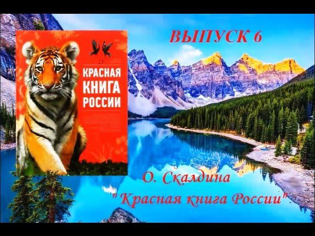 "Встречи у книжной полки". Выпуск 6. "Красная книга России" смотреть онлайн