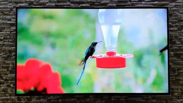 Xiaomi Mi Box S - Interface i możliwości смотреть онлайн