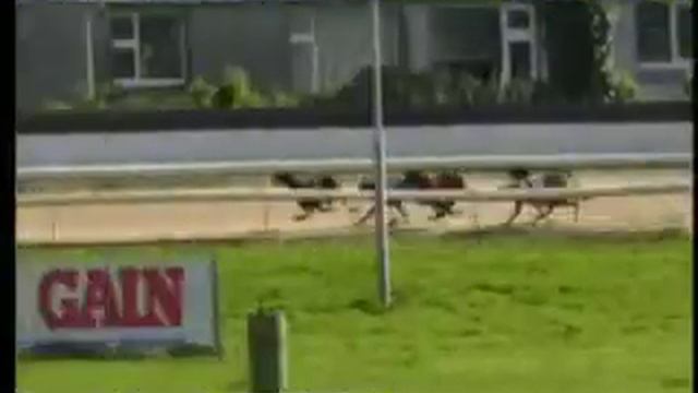 IGB - The Retired Greyhound Trust 15/08/2019 Race 5 - Waterford смотреть онлайн