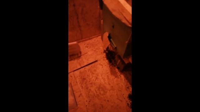 Омшаник для пчел, идеальный климат!!! смотреть онлайн