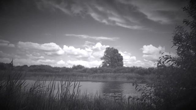 Рыбалка на синявок малявочницей смотреть онлайн