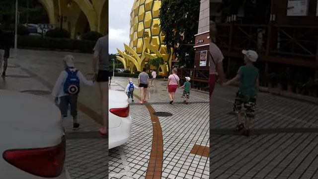 АНАНАС САНЬЯ ДАДУНХАЙ смотреть онлайн