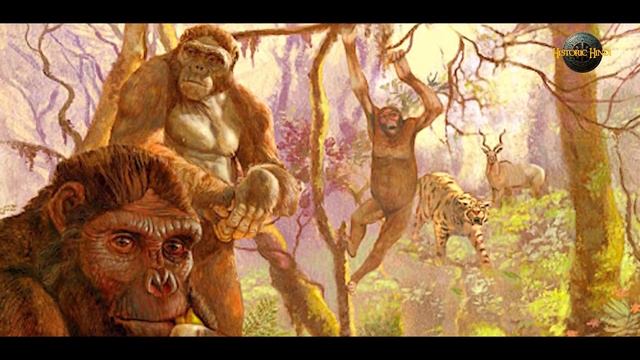 'मानव के क्रमिक' विकास का रोचक इतिहास | Human Evolution History in hindiPART-1 смотреть онлайн