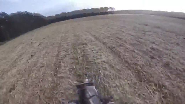 Horse FAIL смотреть онлайн