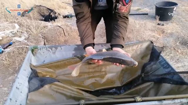 Рыбалка на карпа в октябре. Флэт + пеллетс = успешная рыбалка! смотреть онлайн