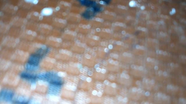 Как определить пол хомяка и морской свинки Нюши и попугаев т.д смотреть онлайн