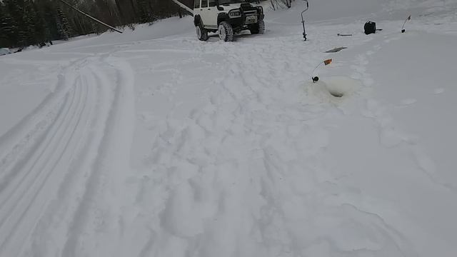 ДУМАЛИ ГЛУХОЗИМЬЕ НО ЩУКА ХВАТАЕТ ЖИВЦА! РЫБАЛКА НА ЖЕРЛИЦЫ В МОРОЗНЫЙ ДЕНЬ НА ЕТЫ-ПУРЕ, РАЗМИНКА)!