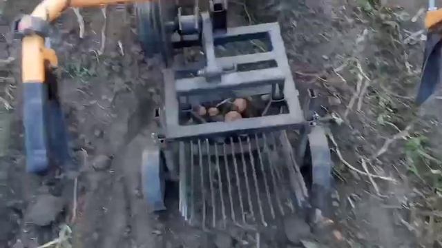 Копка картофеля бензиновым мотоблоком с ходоуменшителем 2021 смотреть онлайн
