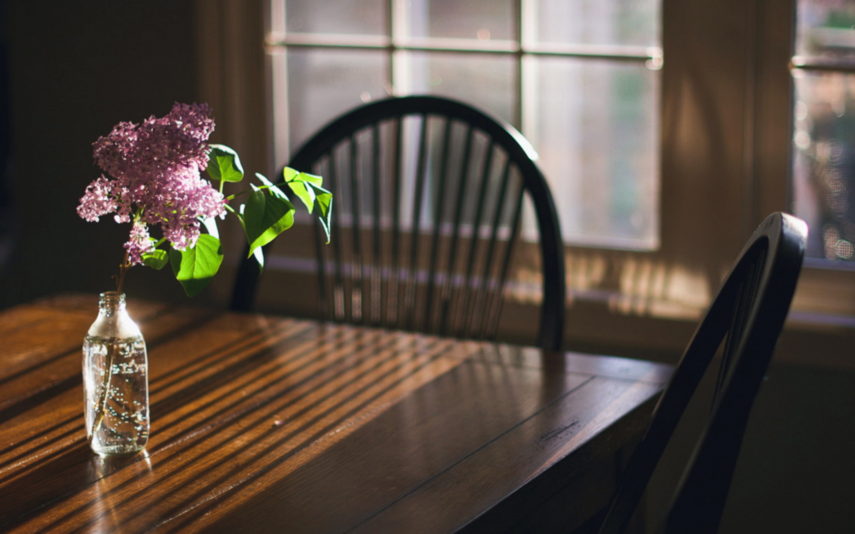 Одинокая ветка сирени, разбор на гармони №-27 с цифрами смотреть онлайн