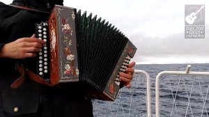 ПЕСНИ ПОД ГАРМОНЬ | КАТЮША