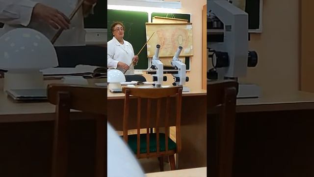 Гиста а смотреть онлайн