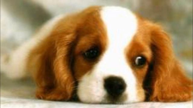 The 59th Street Bridge Song (Feelin' Groovy) - Simon and Garfunkel смотреть онлайн