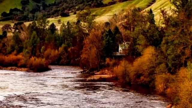 ЖАҢА ӘҢГІМЕ. «Бұл қорап саған бақыт әкеледі, бірақ оны уақытынан бұрын ашпа!»-деді әжесі...