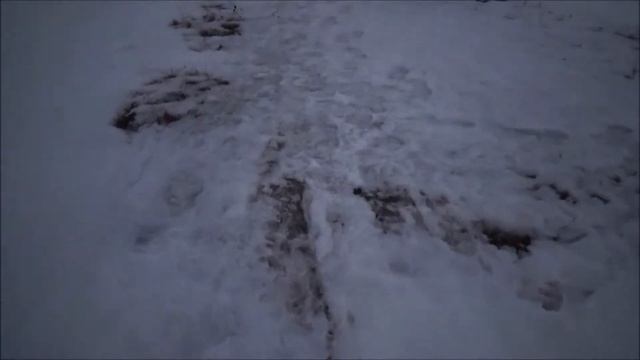 На Онежском озере в марте смотреть онлайн