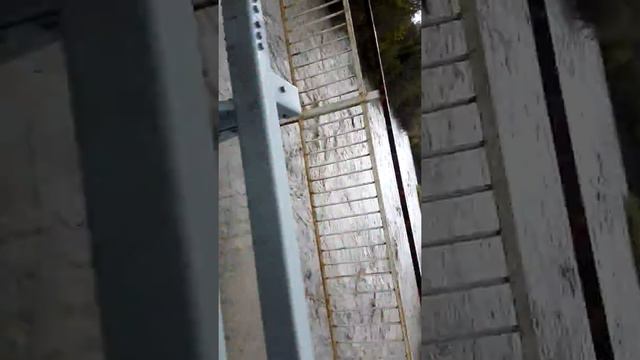 Потоп 2018 смотреть онлайн