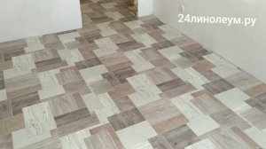 Линолеум Таркетт Гладиатор Авентура 1. 2х комнатная Свердловская 6и без приклейки