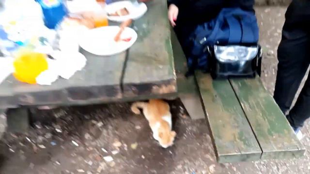 188/ День рождение раз в году. Поздравления принимаются. смотреть онлайн