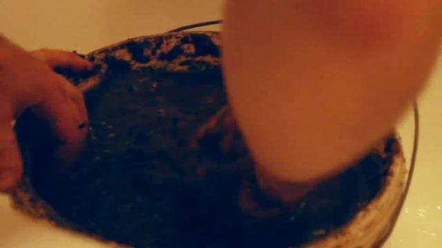 Бесплатные подвои или стратификация семечек смотреть онлайн