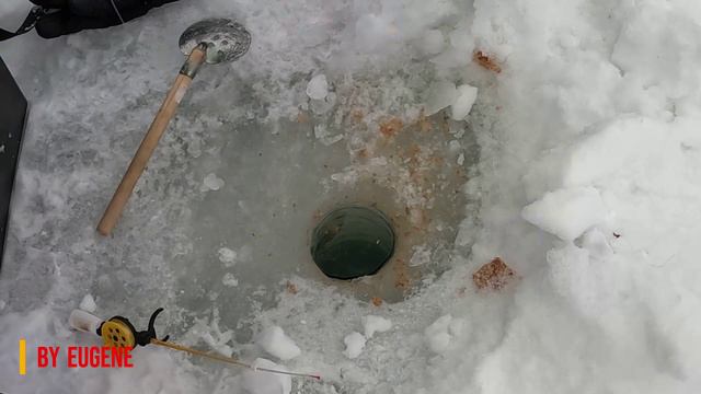 Дикий Лещ смотреть онлайн