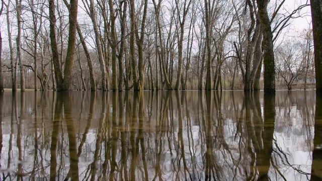4K Relaxing Nature Sounds - Short Video Clips of Nature - 18 minutes Nature sounds смотреть онлайн