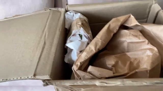 А подарки все идут Орхидеи от Алёны 🌸📦🎁 смотреть онлайн