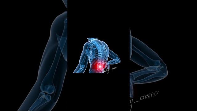 Пояснично крестцовый отдел позвоночника 