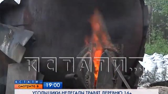 Смотрите сегодня в 19.00 на "Че": Угольщики-нелегалы травят деревню смотреть онлайн