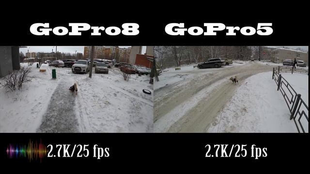 Сравнение экшен камер Gopro 5 и Gopro 8 смотреть онлайн