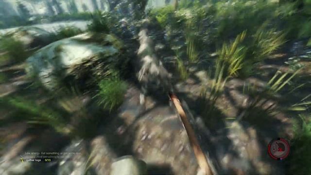 The Forest. Часть 2 (Мы нашли сына) смотреть онлайн