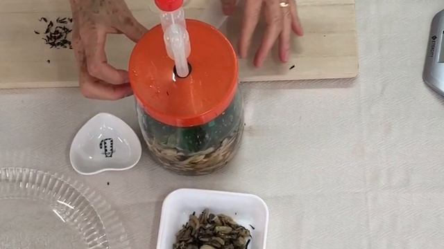 ANTEPASTO DE SHIMEJI COM HIJIKI FERMENTADO смотреть онлайн