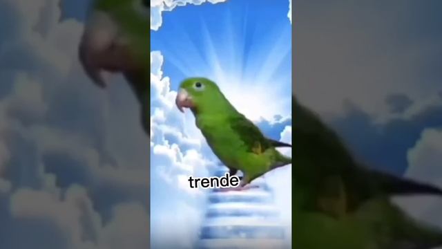 ХААХВХХА УГАР смотреть онлайн