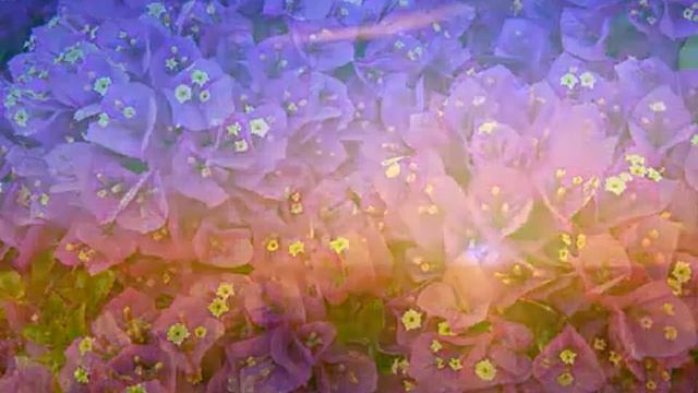 Людмила Сенчина День Рождения смотреть онлайн