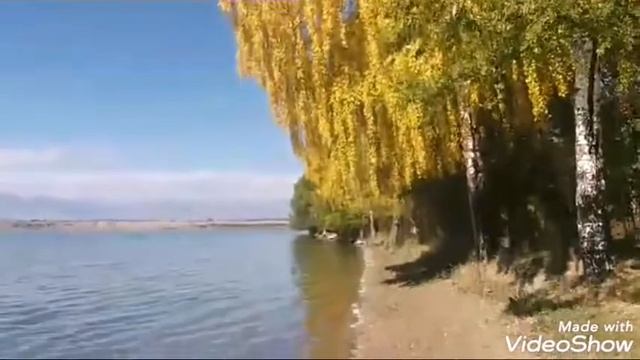 #иссыкуль#кыргызстан#природа#nature LAKE SHORE ISSYK-KUL.KYRGYZSTAN смотреть онлайн