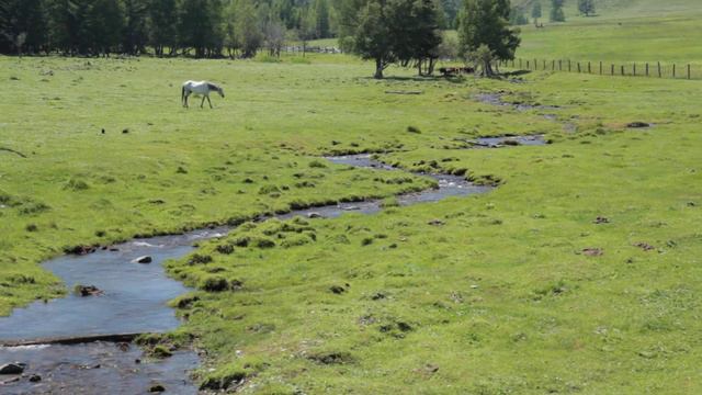 Природа Алтая смотреть онлайн