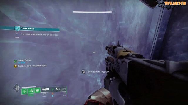 Звездная кошка 8 неделя Destiny 2 триумф, в Камере приспешника, что в логове Ривен