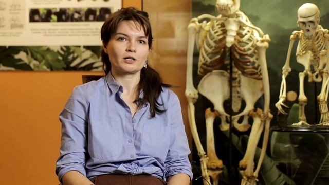 "Сотворение Земли". Рекомендация Елены Судариковой. смотреть онлайн