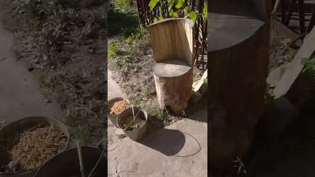 Мое ЛПХ приболело,у крольчат мокрые морды,как лечить?) смотреть онлайн