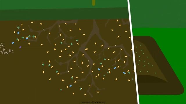 микрофлора почвы или химические удобрения? смотреть онлайн