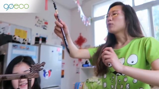 GoEco | Volunteering Abroad With WILDLIFE, HUMANITARIAN & ENVIRONMENTAL Programs