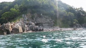 Рисовая Падь Андреевка Приморье июль2018