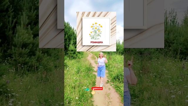 ТОП ПРОДУКТОВ РАЗЖИЖАЮЩИХ КРОВЬ