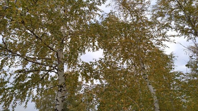 4 ноября/ДЕНЬ КАЗАНСКОЙ ОСЕННЕЙ/БОГОРОДИЦА молится и плачет о каждом из нас/Приметы смотреть онлайн