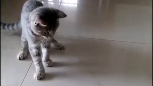 Реакция на победу смотреть онлайн