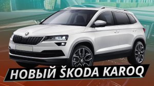 Новый Skoda Karoq для России! Что нам предлагают? | Своими глазами