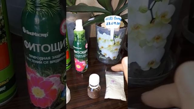 ВРЕДИТЕЛИ на орхидеях- НЕ ПРОБЛЕМА!?? Вертимек, Мовенто энерджи и др смотреть онлайн