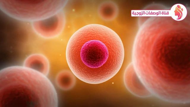 ضع زيت الزيتون في هذا المكان قبل النوم سيجعلك 100 حصان كل ليلة - فوائد زيت الزيتون смотреть онлайн