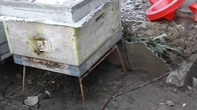 календаль пчеловода - ноябрь , работа с пчелами смотреть онлайн