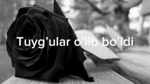 Oxirlab qoldi Sevgimiz olovda yondi Ko’zlaring boy qidirib Endi nafsing qondi Sarson