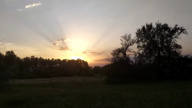 Закат Солнца ? в лесу?? смотреть онлайн