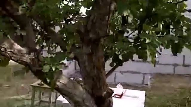 строим душ и туалет смотреть онлайн